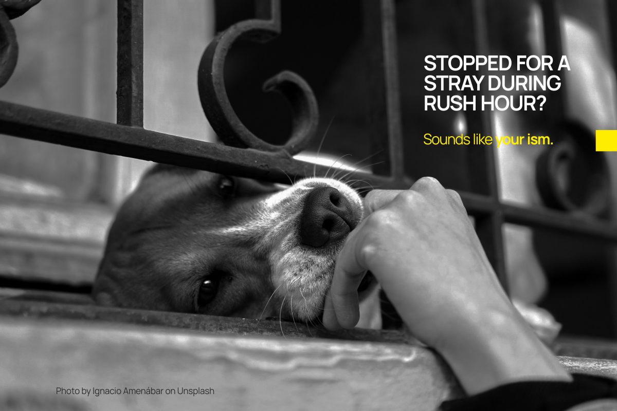 Person stopping for a stray dog during rush hour - Smolt passion tees India