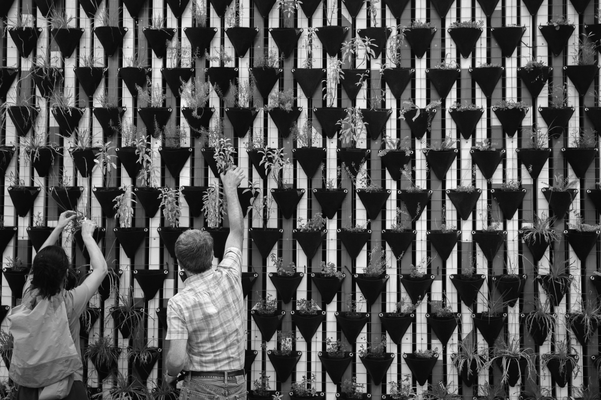A couple arranging their vertical garden with passion | Smolt