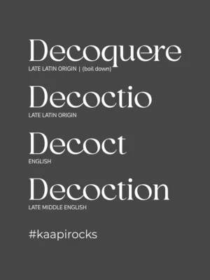 Design close-up of the Decoction t-shirt | Smolt